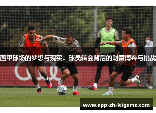 西甲球场的梦想与现实：球员转会背后的财富博弈与挑战