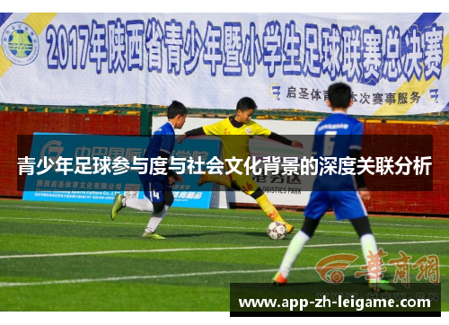 青少年足球参与度与社会文化背景的深度关联分析